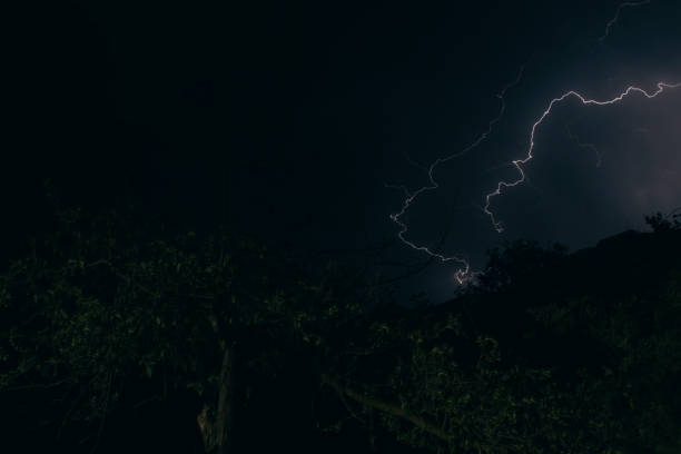 istock lightning in the night sky over the forest 2198970325