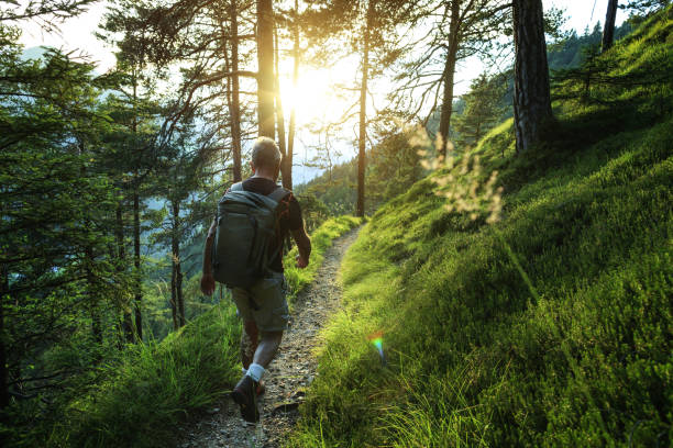 istock Senior man trail hiking in a forest on the Dolomites 2198971971