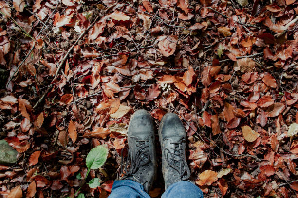 Autumn leaves and boots in the forest