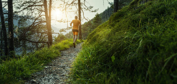 istock Man trail running in mountain forest: the Dolomites 2198972265