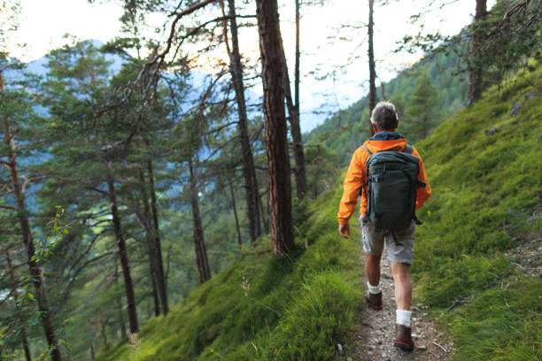 istock Senior man trail hiking in a forest on the Dolomites 2198972454