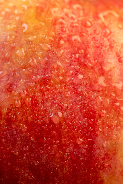 istock fresh crunchy apple with red and green peel 2198975784