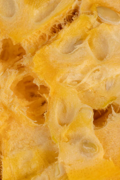 istock ripe orange pumpkin with seeds cut into pieces 2198976118