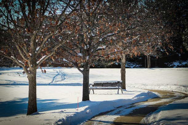 Stunning view of park bench and trees covered by heavy snow. Lots of snow. Winter landscape