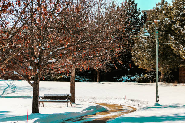 istock curved sidewalk covered in snow in park and retail area with trees 2198978018