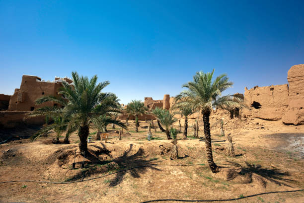 Ushaiger Heritage Village, located in Saudi Arabia’s Najd region, is a well-preserved historical site showcasing traditional Najdi architecture. Its mudbrick walls, made from a mix of clay, straw, and water, provide insulation against the desert heat. These walls, often over half a meter thick, are supported by wooden beams and feature intricate geometric patterns. The village’s narrow alleys, old wooden doors, and watchtowers reflect its rich cultural heritage and Bedouin roots.