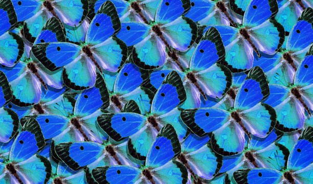istock bright blue butterflies abstract background. 2198983147