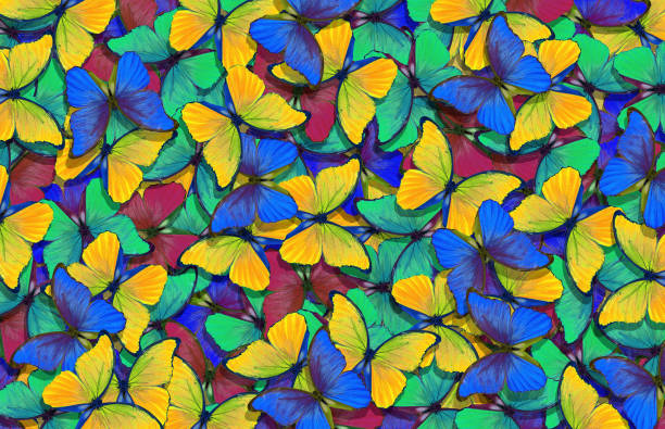 istock bright colorful morpho butterflies texture background. colorful tropical background. 2198983215