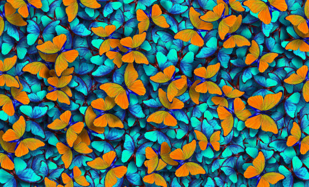 istock colorful orange and blue morpho butterflies texture background. bright tropical background. 2198984123