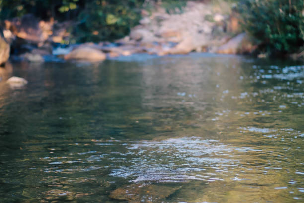 Ecological untouched Fresh clean water in nature, close up background