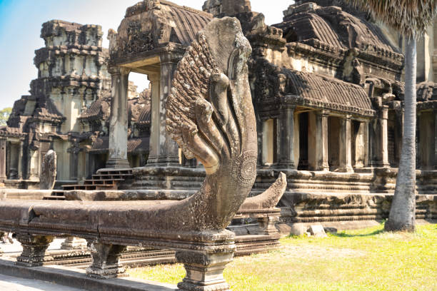 Angkor Wat complex, Cambodia, 02.06.2025, Angkor Wat complex, Ta Prohm Ancient Temple, Cambodia