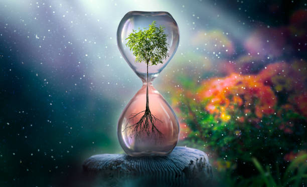 Earth Day or World Environment Day concept. Save planet and forest, restore and protect nature, global warming and climate change theme. Live and dry tree in hourglass.