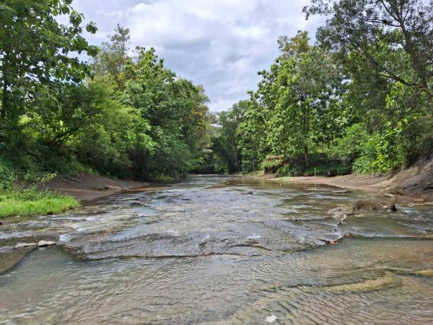 istock Scenic River with Lush Greenery and Tropical Forest 2198991223