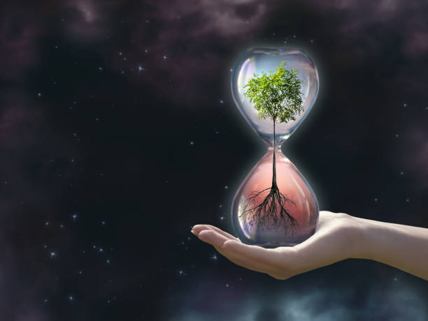 istock Earth Day,  desertification and drought concept. Save environment and protect green nature. Global warming and Climate change theme. Live and dry tree in hourglass. 2198991354