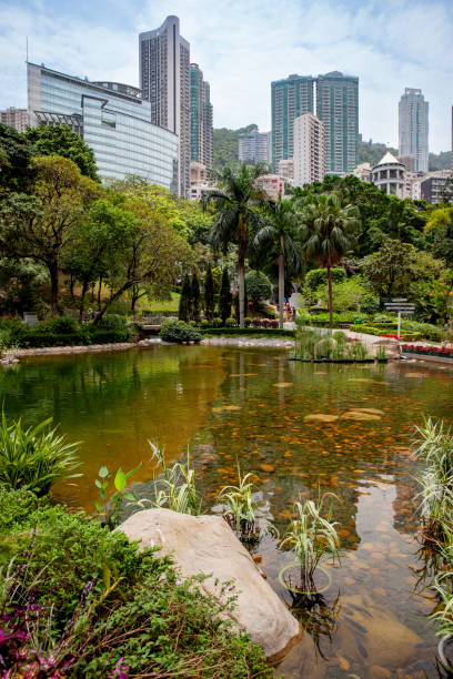 istock Pond in a public park in Hong Kong 2198992279