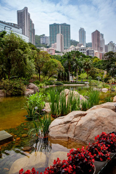 istock Pond in a public park in Hong Kong 2198992290
