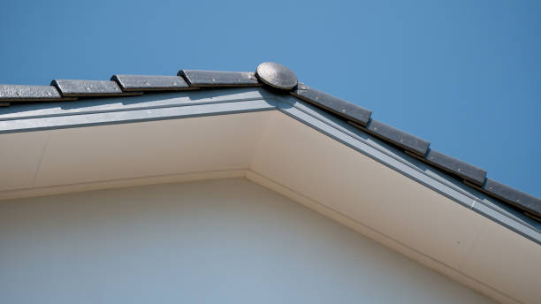 istock Residential architecture elevated insights modern roof edge design and aesthetics 2198994525