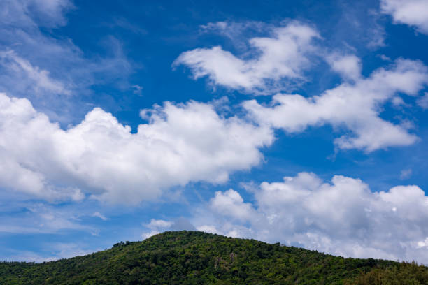 Lush green grass and hill, grasslands national park, Thailand