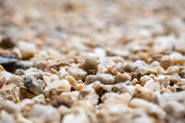 A detailed close-up of textured pebbles showcasing nature's beauty in an outdoor setting.