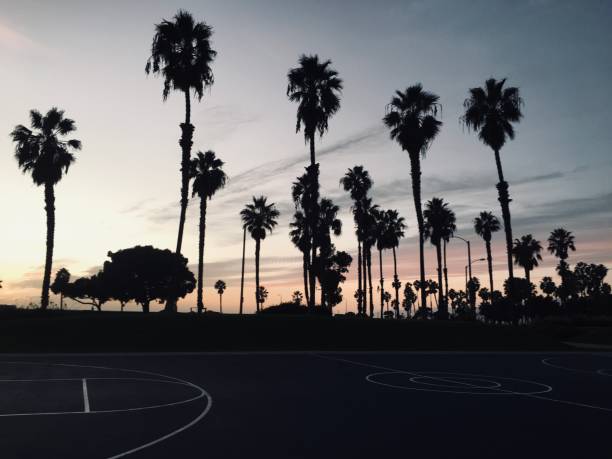 istock Basketball Courts at Venice Beach 2198996429