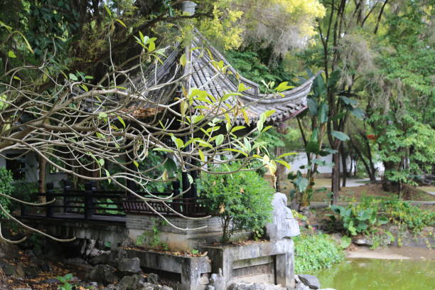 istock A small garden with a stone wall and a wooden bench 2198998627