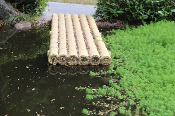 Environmental contamination in watercourses. Degraded environment. Pollution