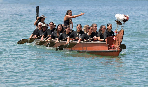 Waitangi, Nzl - Feb 06 2025:Maori female warriors rows a war canoe on on Waitangi Day, the national day of New Zealand, marks the anniversary of the 1840 Treaty of Waitangi