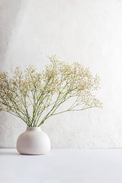 White ceramic vase with delicate baby's breath flowers against a textured white wall. Closeup
