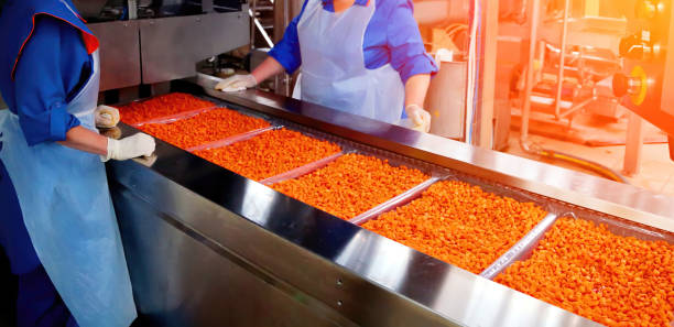 istock Workers processing bright orange snacks in a bustling factory during a busy production shift in an industrial setting 2199005699