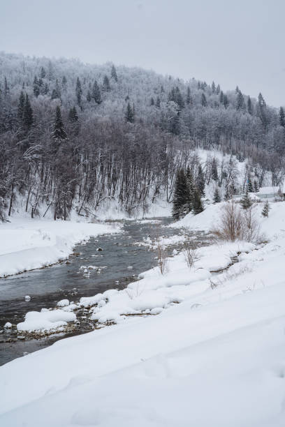 istock Imagine a beautiful river that gracefully flows through a serene, snowy forest, where majestic trees are blanketed in a thick layer of snow, creating a breathtaking winter landscape 2199007479