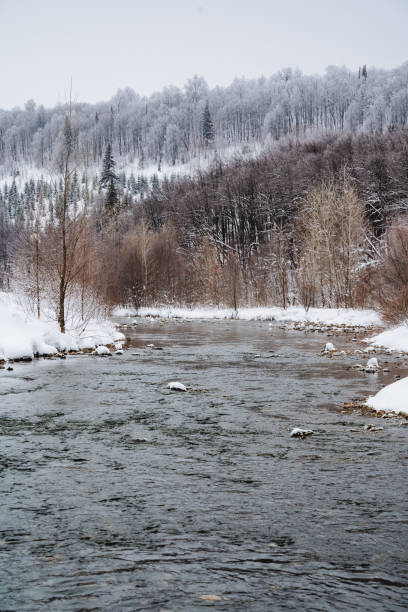 istock A beautiful river flowing gracefully through a serene landscape, surrounded by trees blanketed with soft, white snow on a picturesque snowy day, creating a stunning natural scene 2199007482
