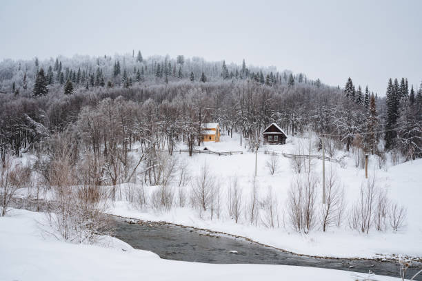 Dog sledding tour in winter in a beautiful forest near the city of Narvik Norway