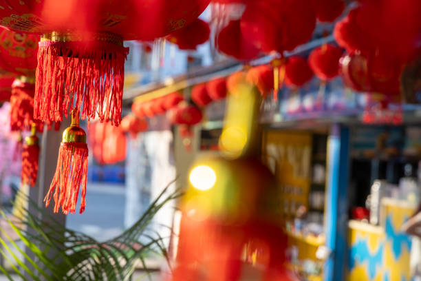 istock Lanterns hanging in trees for lunar new year 2199007578