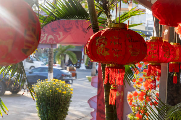Lanterns hanging in trees for lunar new year, Tet Festival, Nha Trang