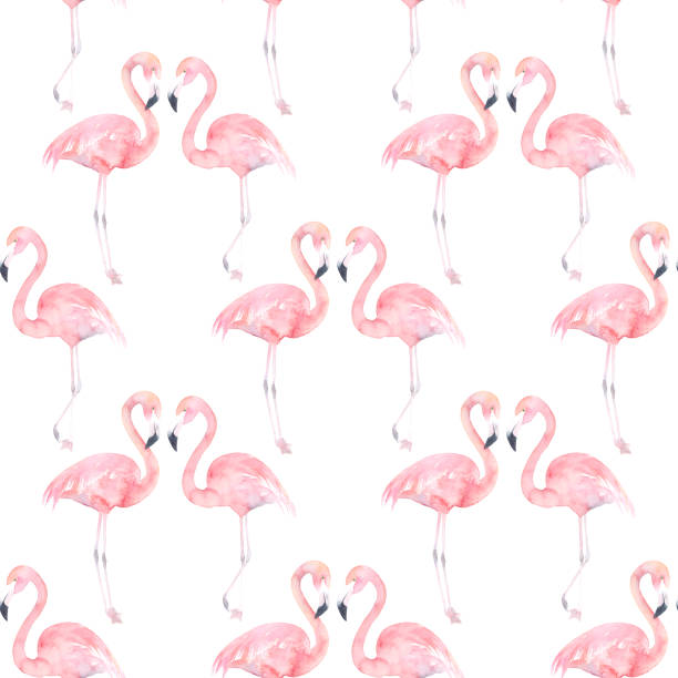 istock Watercolor seamless pattern with exotic flamingo on white background. Summer decoration print for wrapping, wallpaper, fabric 2199008215