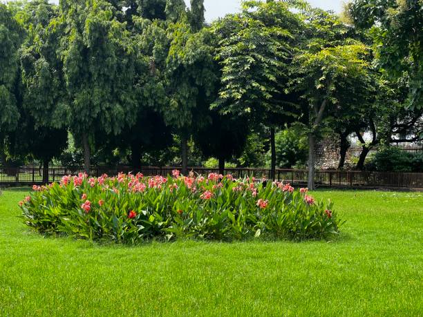 istock Vibrant Garden Oasis 2199009322