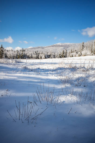 istock Mount Monadnock across a snow covered frozen pond on a cold winter day 2199014869