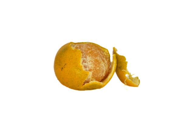 istock A partially peeled orange with its peel hanging off, isolated on a white background. 2199015445