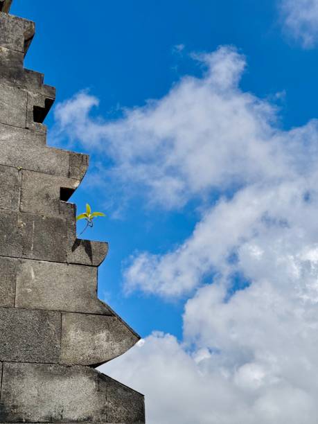 Historic Temple Stone Structure with a Small Plant Growing from the Stone Against a Bright Blue Sky – Symbol of Resilience, Heritage, and Nature’s Harmony