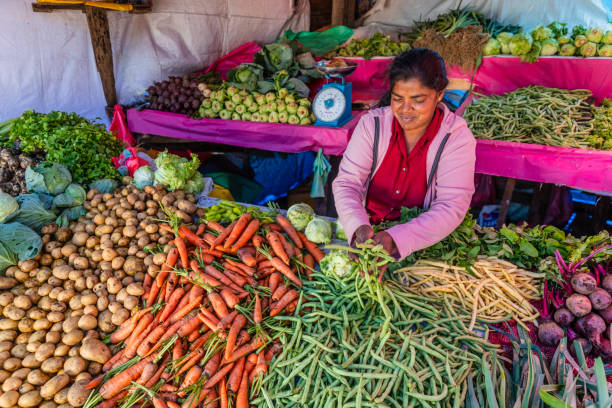 Woman selling vegetables near Nuwara Eliya stock photo