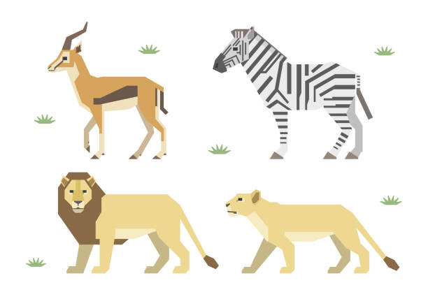 istock Vector illustration of African animals: lion, zebra, gazelle. 2199029545