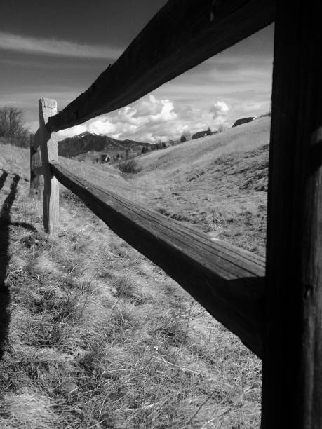 istock Grayscale Wooden Fence 2199036216