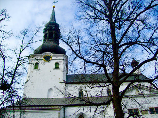 A small northern European country bordering the Baltic Sea and the Gulf of Finland, Estonia is home to over 1,500 islands and a varied landscape of rocky beaches, ancient forests and numerous lakes. And let's not forget its magnificent capital Tallinn, brimming with historic sites.