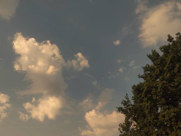 This image captures a serene blue sky dotted with fluffy white clouds. The clouds are scattered across the vast expanse, creating a sense of depth and tranquility. The photograph evokes feelings of peace, freedom, and the beauty of nature. It's perfect for projects seeking a calming and uplifting visual, such as travel blogs, inspirational quotes, or background images.