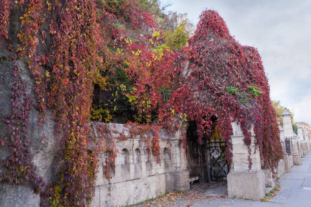 Decorative stone pavilion built-in to the old stone and forged fence, overgrown with climbing plants with autumn bright red leaves at the foot of the hill in overcast day