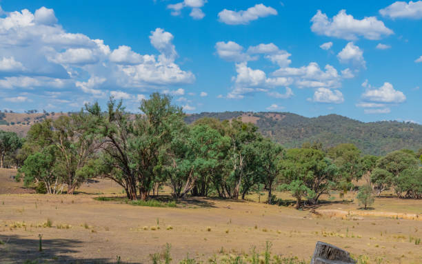 istock Late Summer Countryside in the Southern Tablelands 2199040108