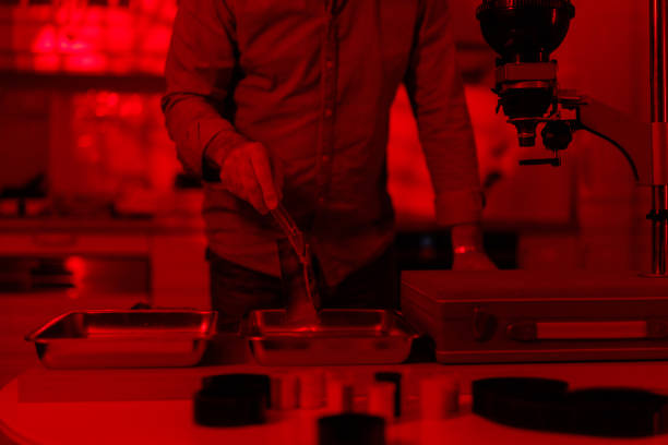 istock Photographer making photos in a darkroom 2199040653