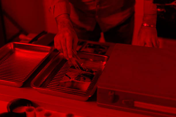 istock Photographer making photos in a darkroom 2199040697