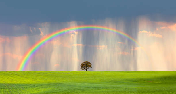 istock Rainy weather with green grass field and deep blue sky amazing rainbow in the background 2199043700
