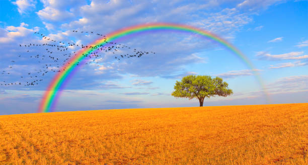 istock Beautiful landscape with silhouette of birds flying over lone tree 2199044491